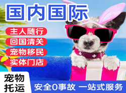 遵义茅台航空快运国际宠物托运 【国